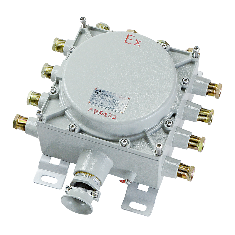 BJX系列 防爆接線箱(ⅡB、ⅡC、ⅢC)